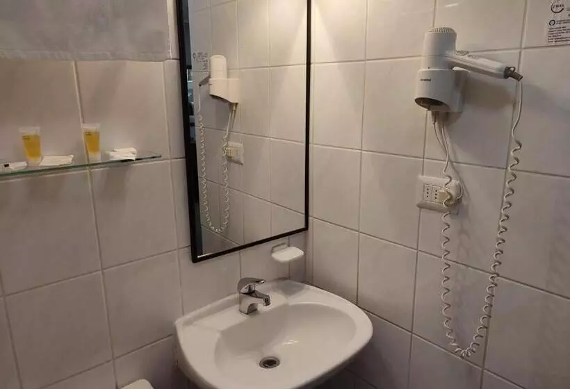 هتل Ohiggins Park