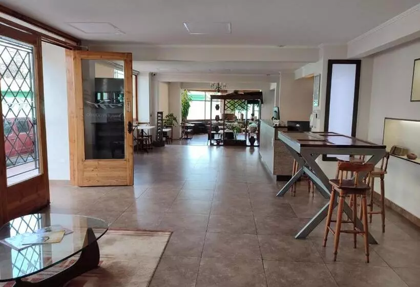 هتل Ohiggins Park