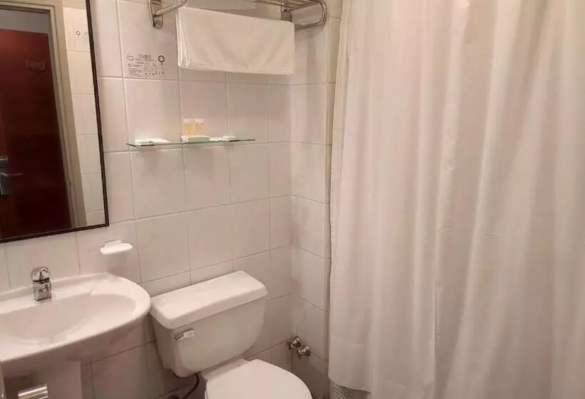 هتل Ohiggins Park