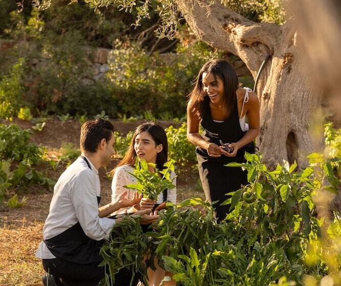 リゾートホテル Masseria San Paolo Grande