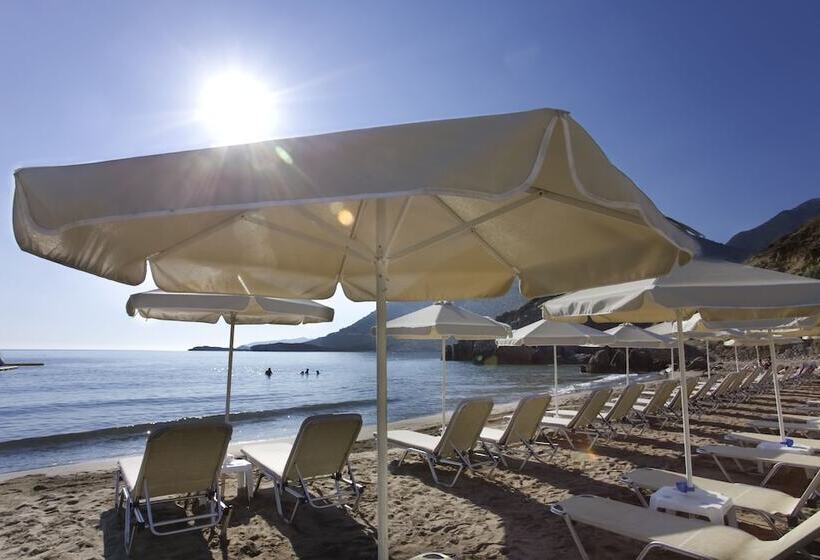 호텔 Bali Star Resort