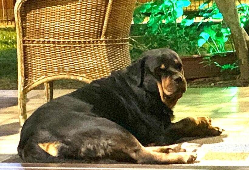 酒店 Beach House Floripa