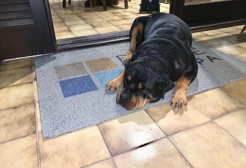 酒店 Beach House Floripa