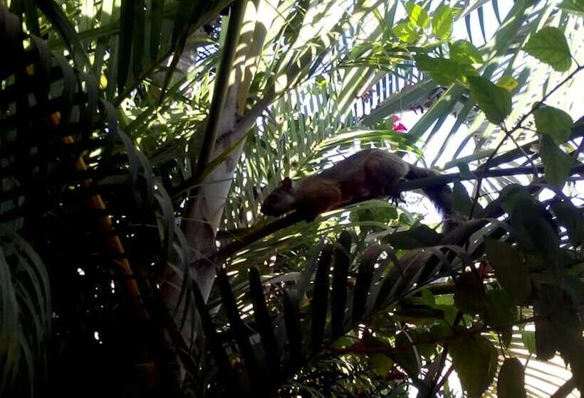 فندق Cabinas Madeleine