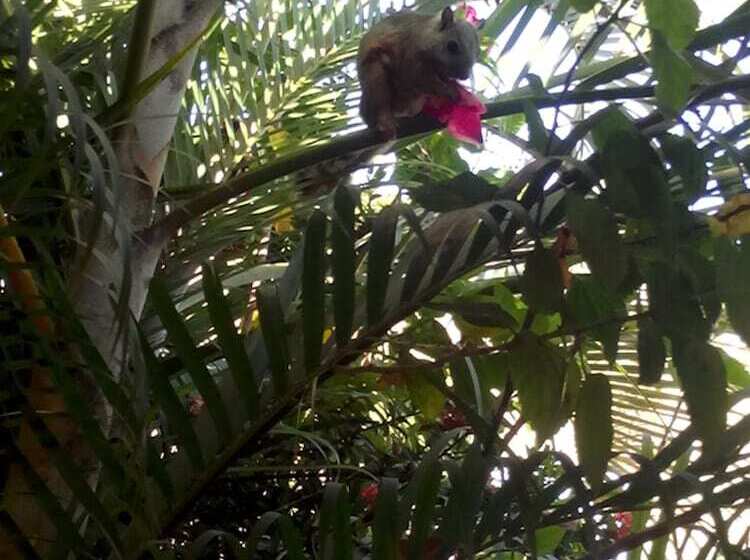 فندق Cabinas Madeleine