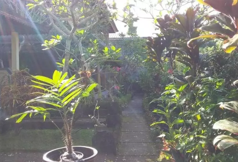 בית מלון כפרי Detri Inn