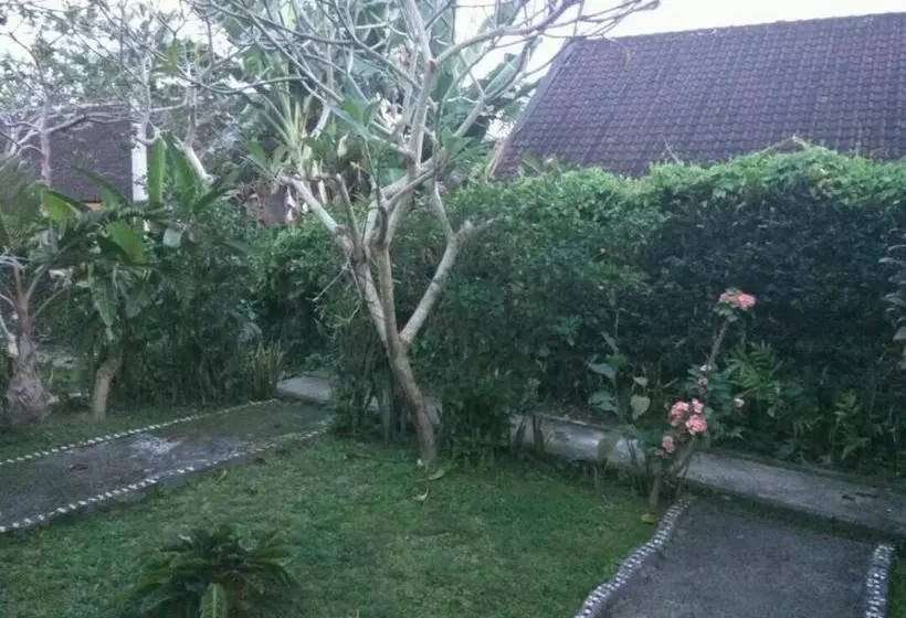 בית מלון כפרי Detri Inn