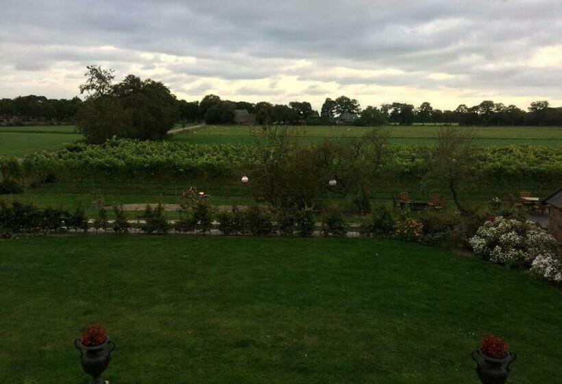 B&b Op Wijngoed Havelte