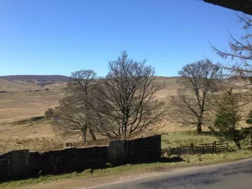 Aamiaismajoitus (B&B) Langside