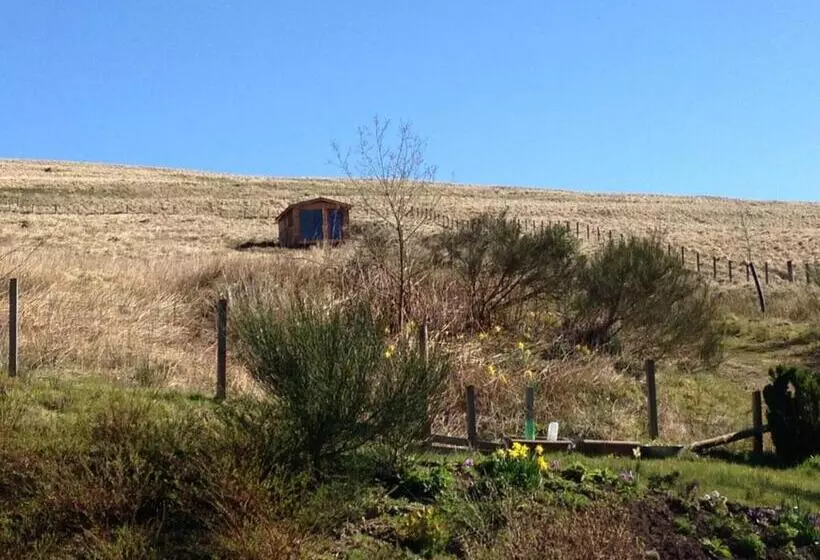 Aamiaismajoitus (B&B) Langside