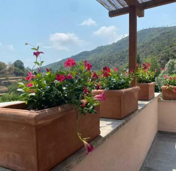 ホテル Agriturismo Peq Agri Resort Tovo