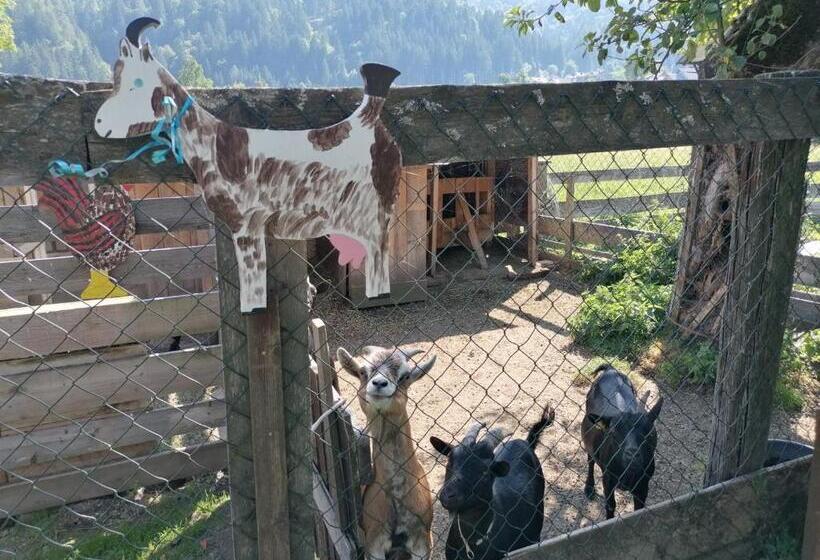 ホテル Bauernhof Katin