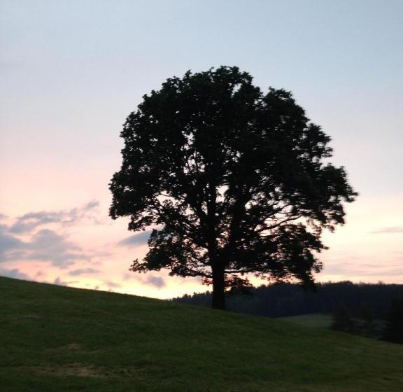 فندق Gasthof Zur Post