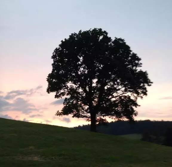 Hotelli Gasthof Zur Post