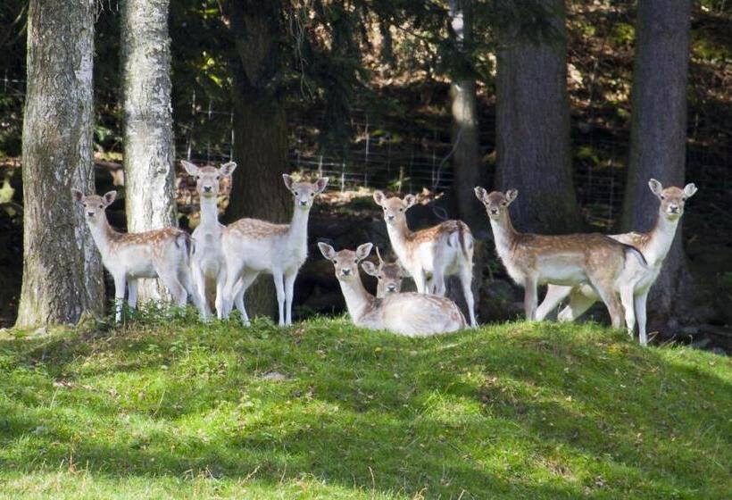 فندق Gasthof Zur Post