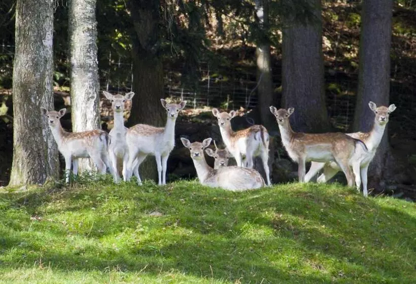 Hotelli Gasthof Zur Post