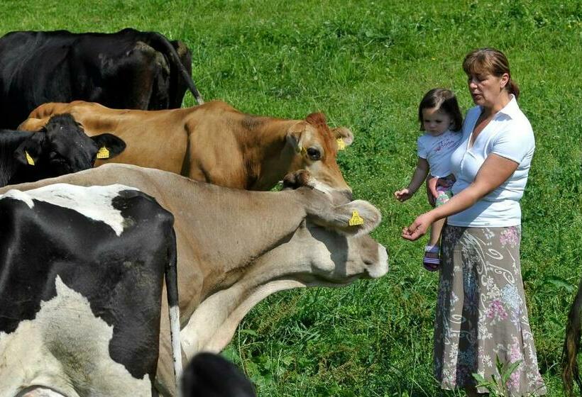 Otel Kerschbaumerhof