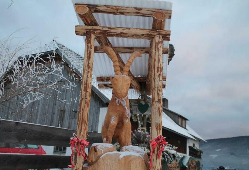 Отель Lassacher Biobauernhof