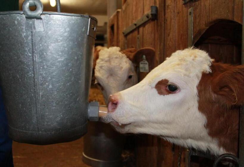 Отель Lassacher Biobauernhof