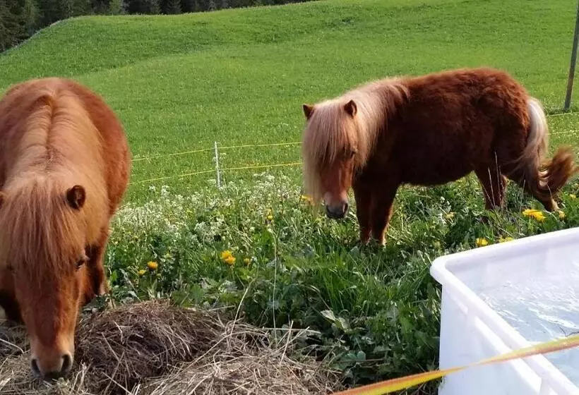 ホテル Lüch Da Spescia
