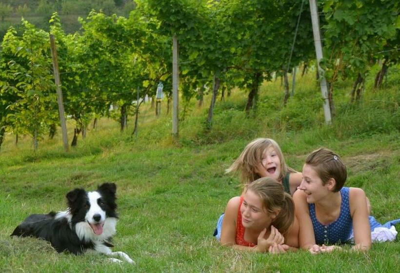 Pansiyon Winzerzimmer Pronegg Vlg. Kristeindl