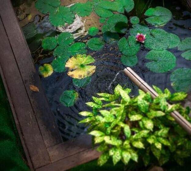 בית מלון כפרי Bartaccia