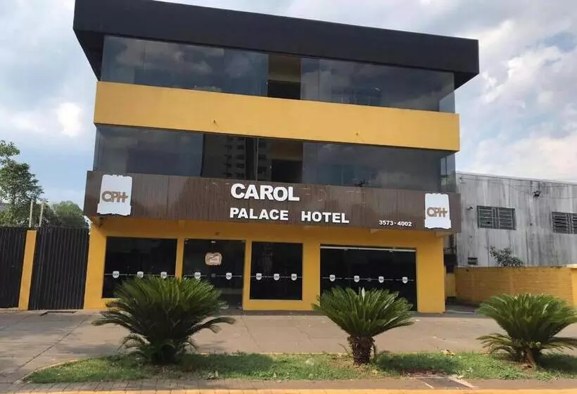 בית מלון כפרי Carol Palace