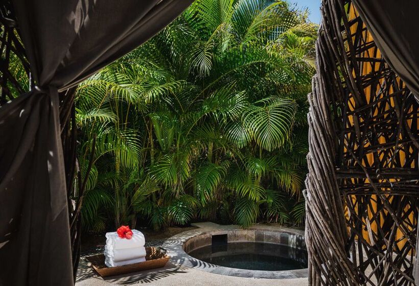 فندق Conrad Punta De Mita