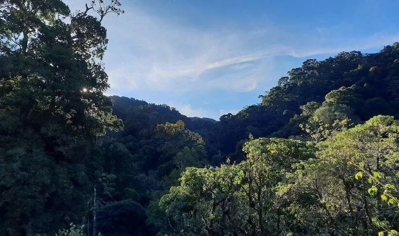 هتل De Montana Suria