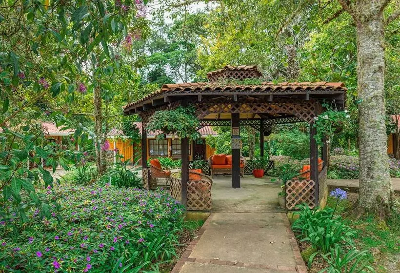 هتل De Montana Suria