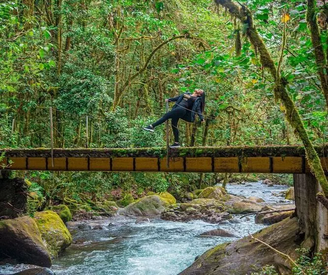 هتل De Montana Suria