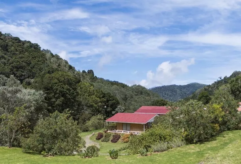 هتل De Montana Suria