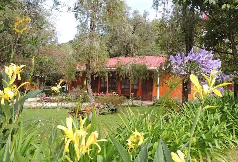 هتل De Montana Suria