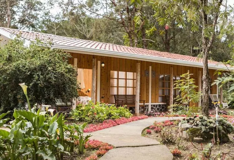 هتل De Montana Suria