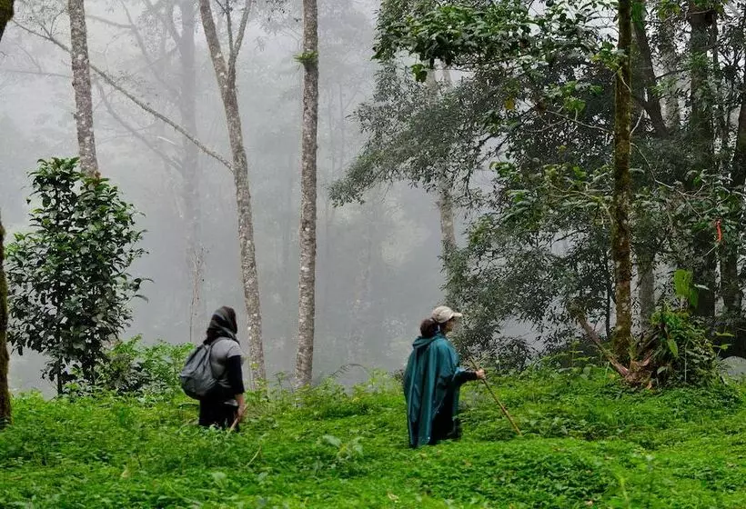 هتل De Montana Suria