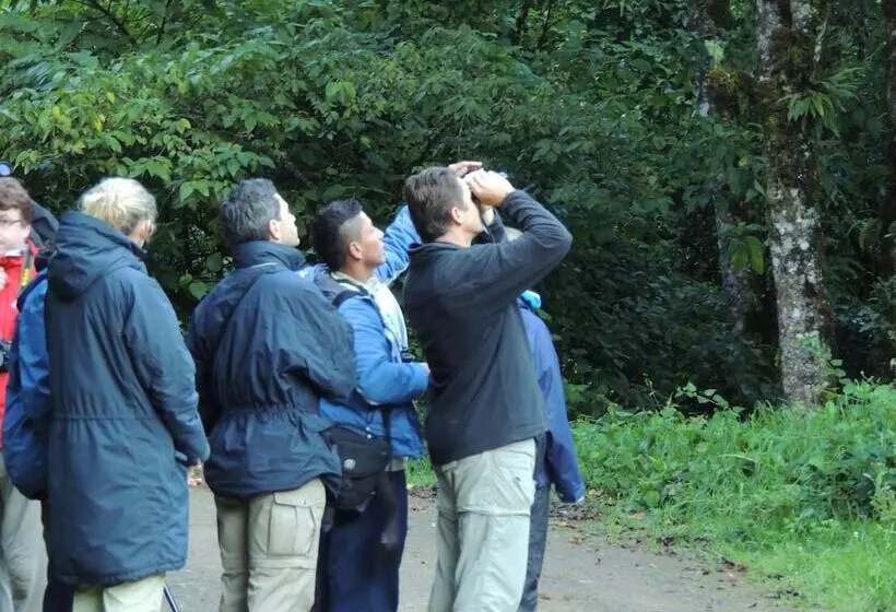 هتل De Montana Suria