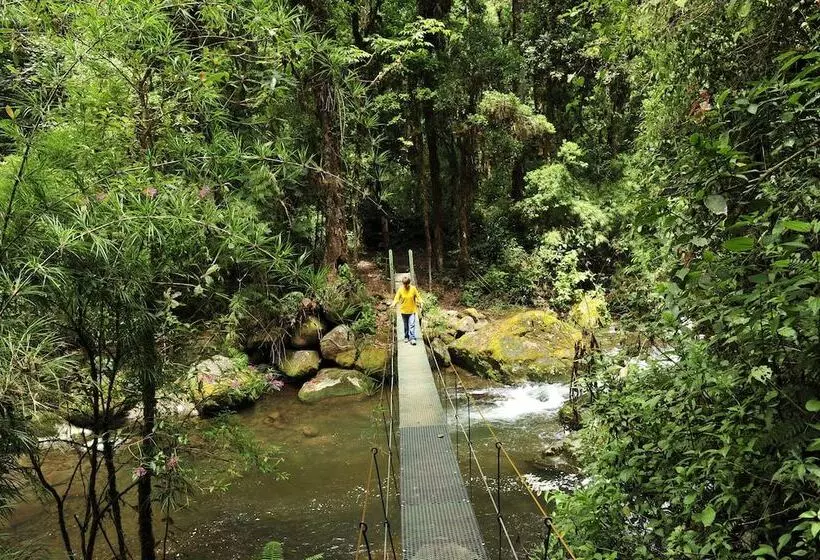 هتل De Montana Suria