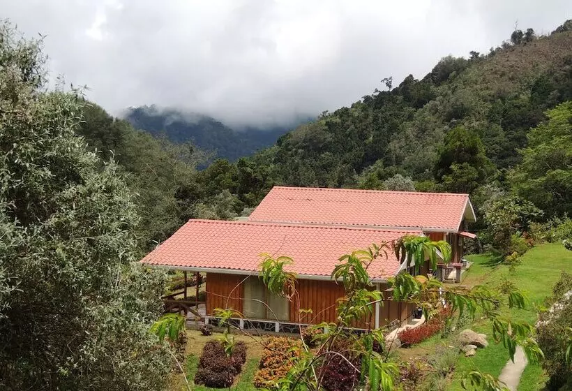 هتل De Montana Suria