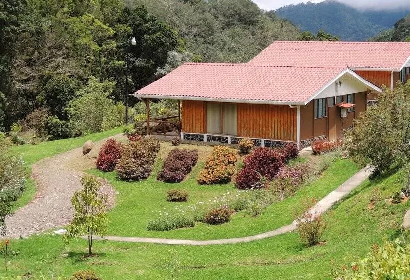 هتل De Montana Suria