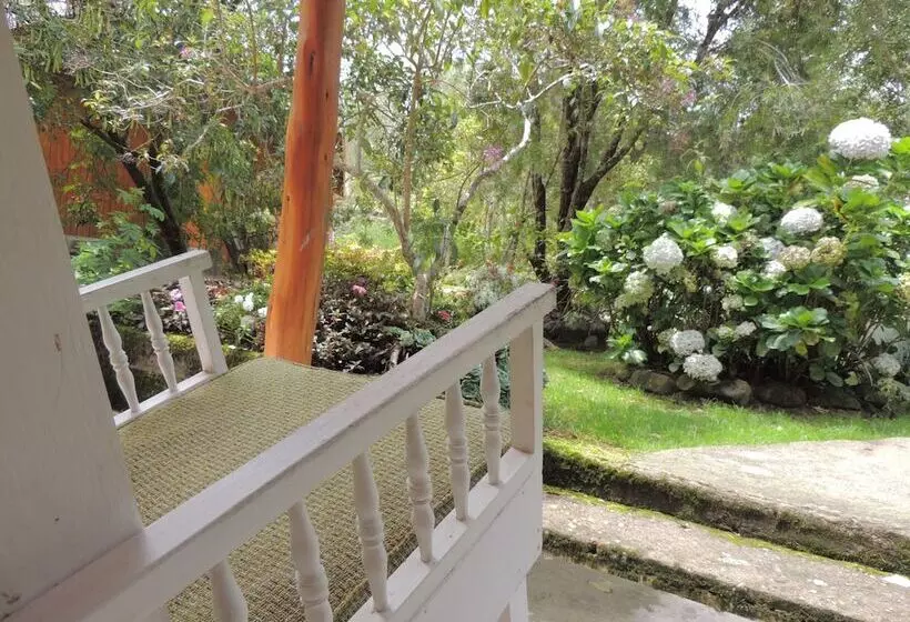 هتل De Montana Suria