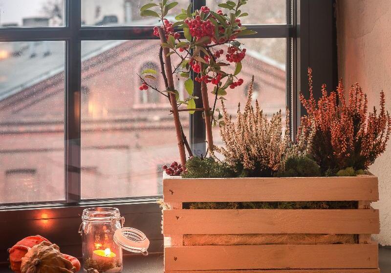 酒店 Dream Aparts  Lofty Scheiblera