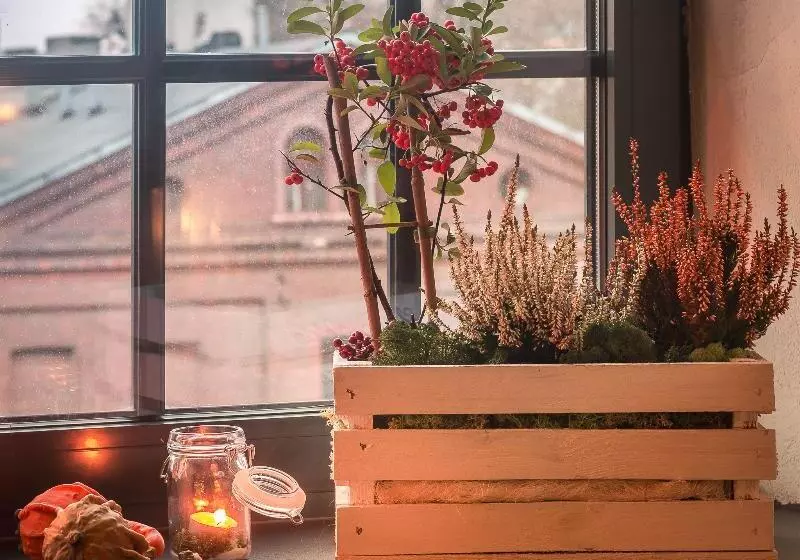 酒店 Dream Aparts  Lofty Scheiblera