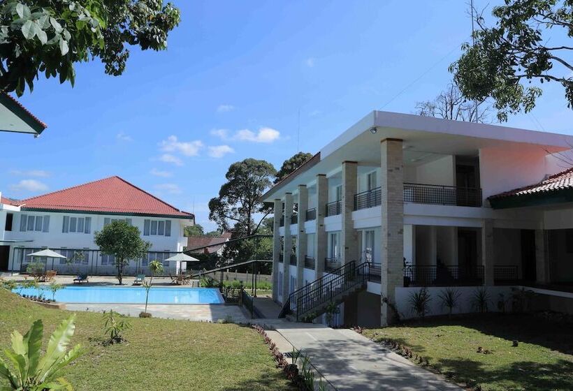 Отель Griya Sintesa Muara Enim