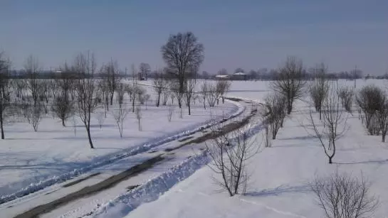 בית מלון כפרי Agriturismo La Fattoria Del Boschetto