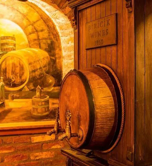 Palace Hotel Olive Odore