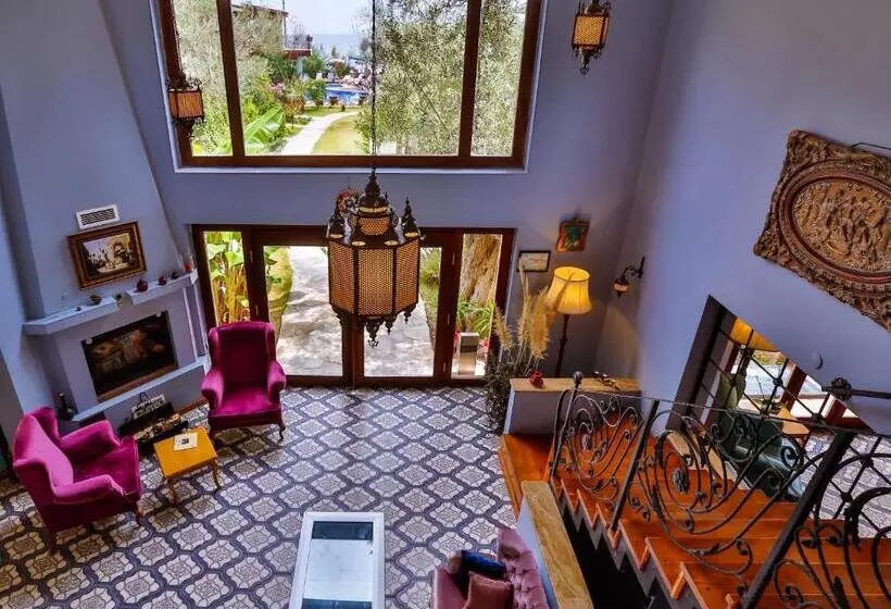 Palace Hotel Olive Odore