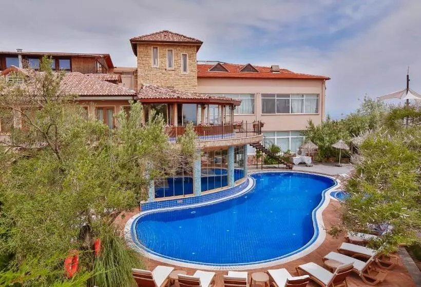 Palace Hotel Olive Odore