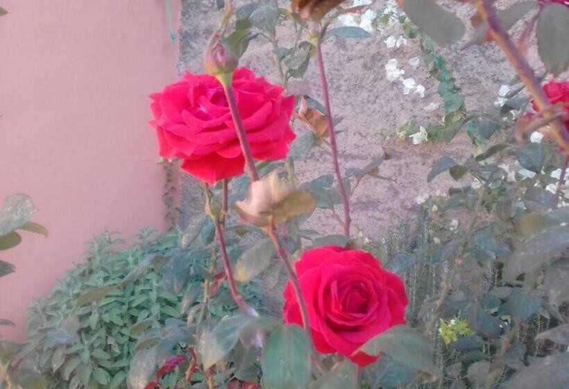 Pension (Hôtel basse catégorie) Dar Tassa