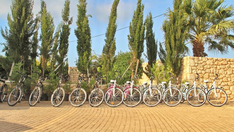 Bella Elena By Estia