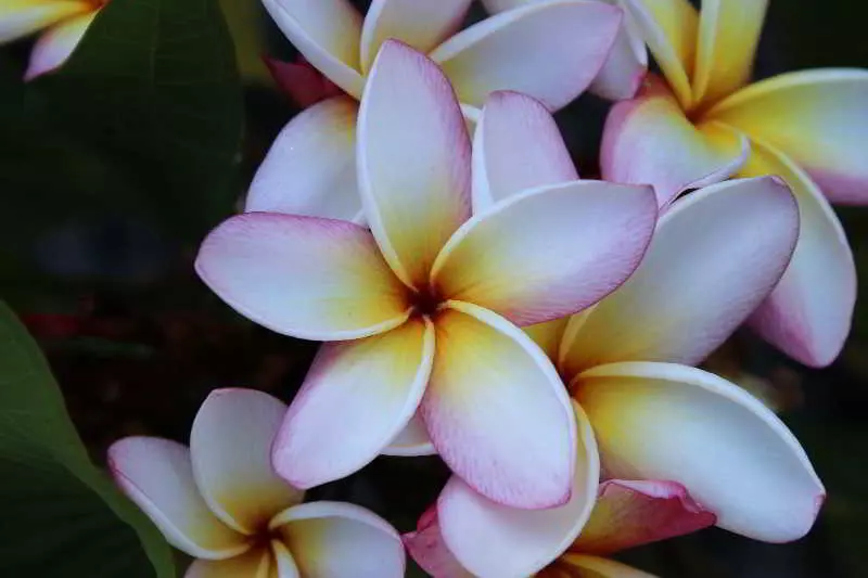 酒店 Meili Beach Resort